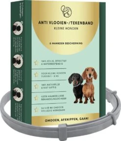 Vlooienband Kleine Hond Tekenband - 100% Natuurlijk Veilig En Waterbestendig