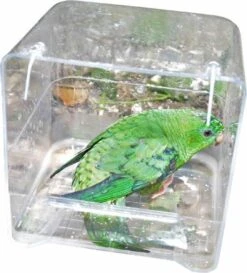 Duvo Badje - Transparant