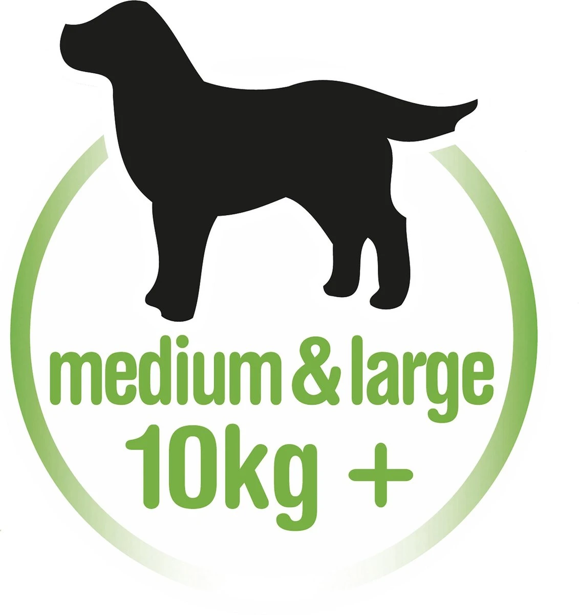 Bonzo Dental Delicious - Hondensnacks Rund - 6 X 200 G - Image 3