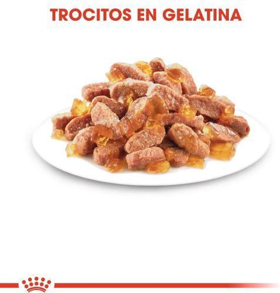 Royal Canin Kitten In Jelly - Kattenvoer - 1020 G - Image 9