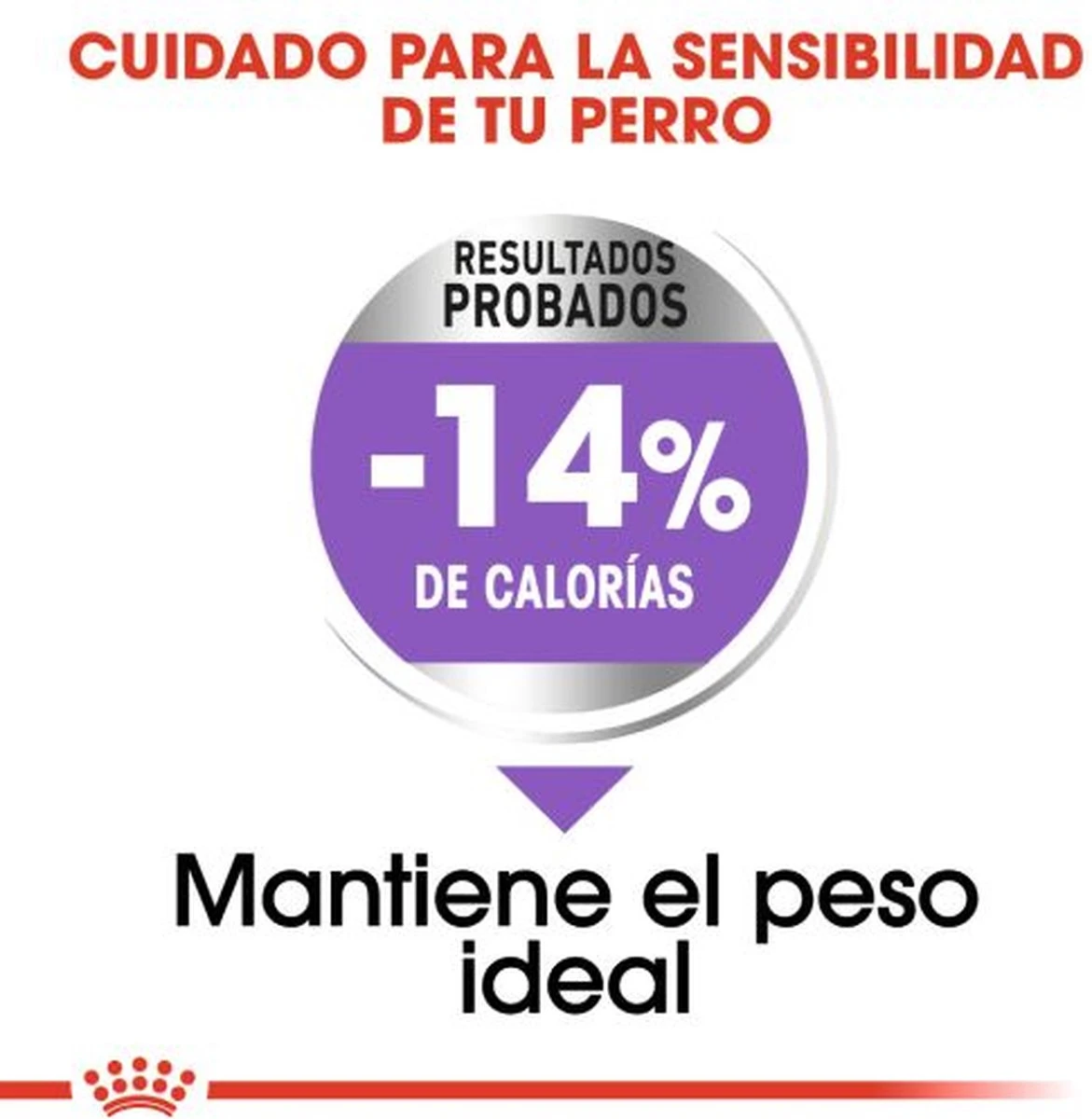 Royal Canin Sterilised Maxi - Hondenvoer - 12 Kg - Image 6