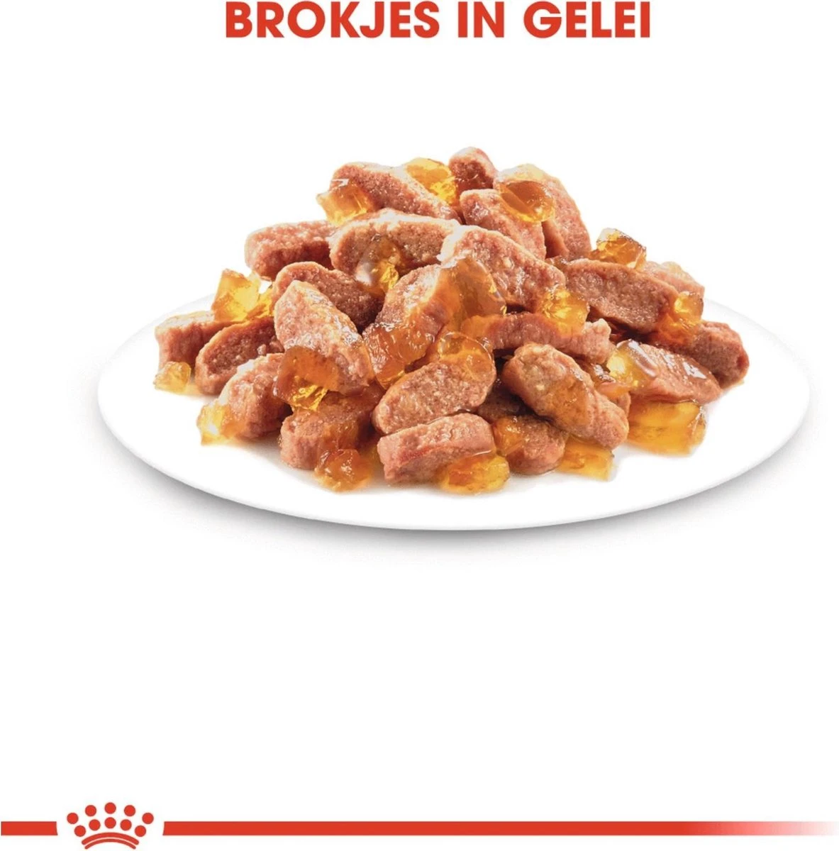 Royal Canin Kitten In Jelly - Kattenvoer - 1020 G - Image 3