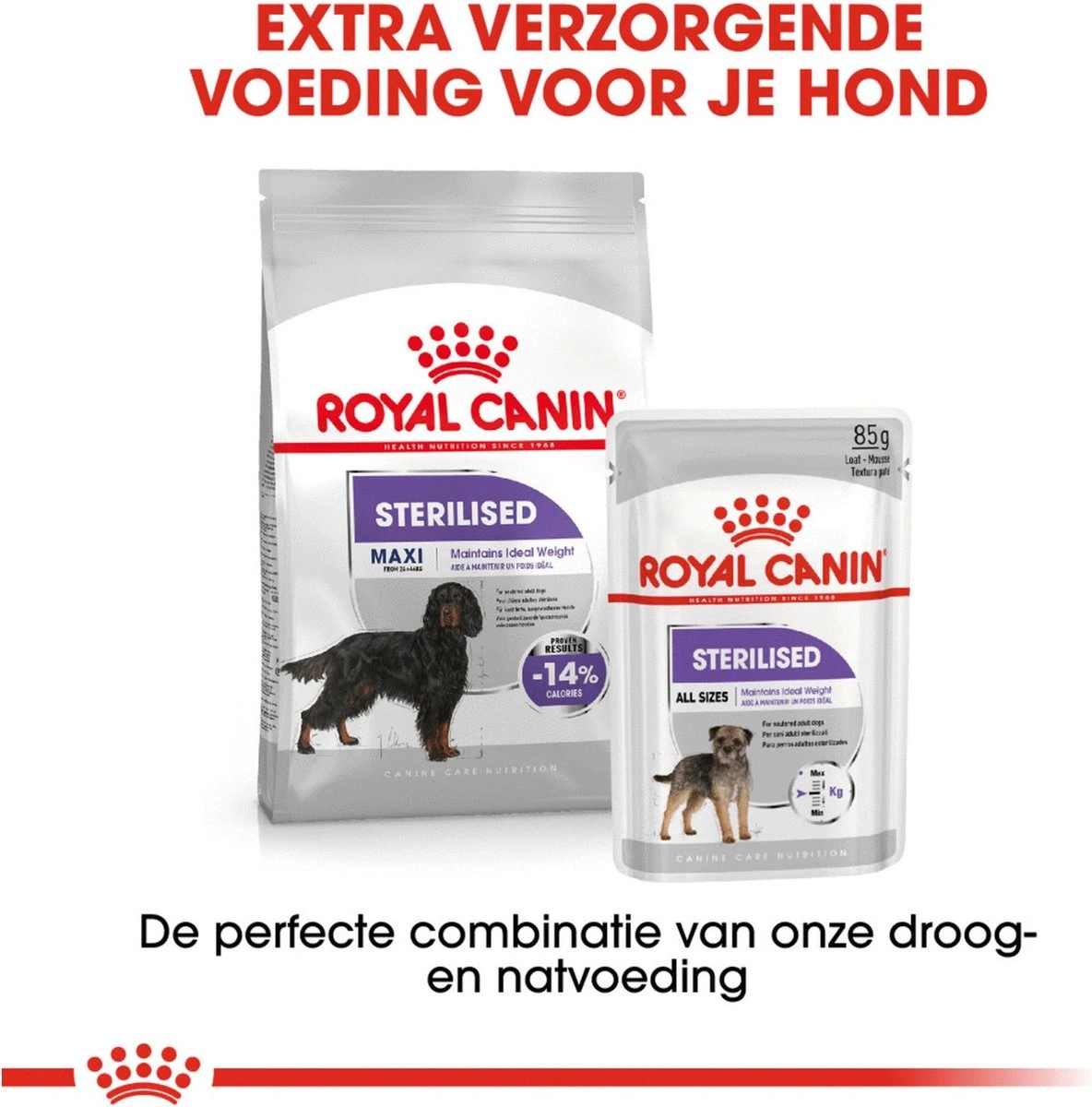 Royal Canin Sterilised Maxi - Hondenvoer - 12 Kg - Image 11