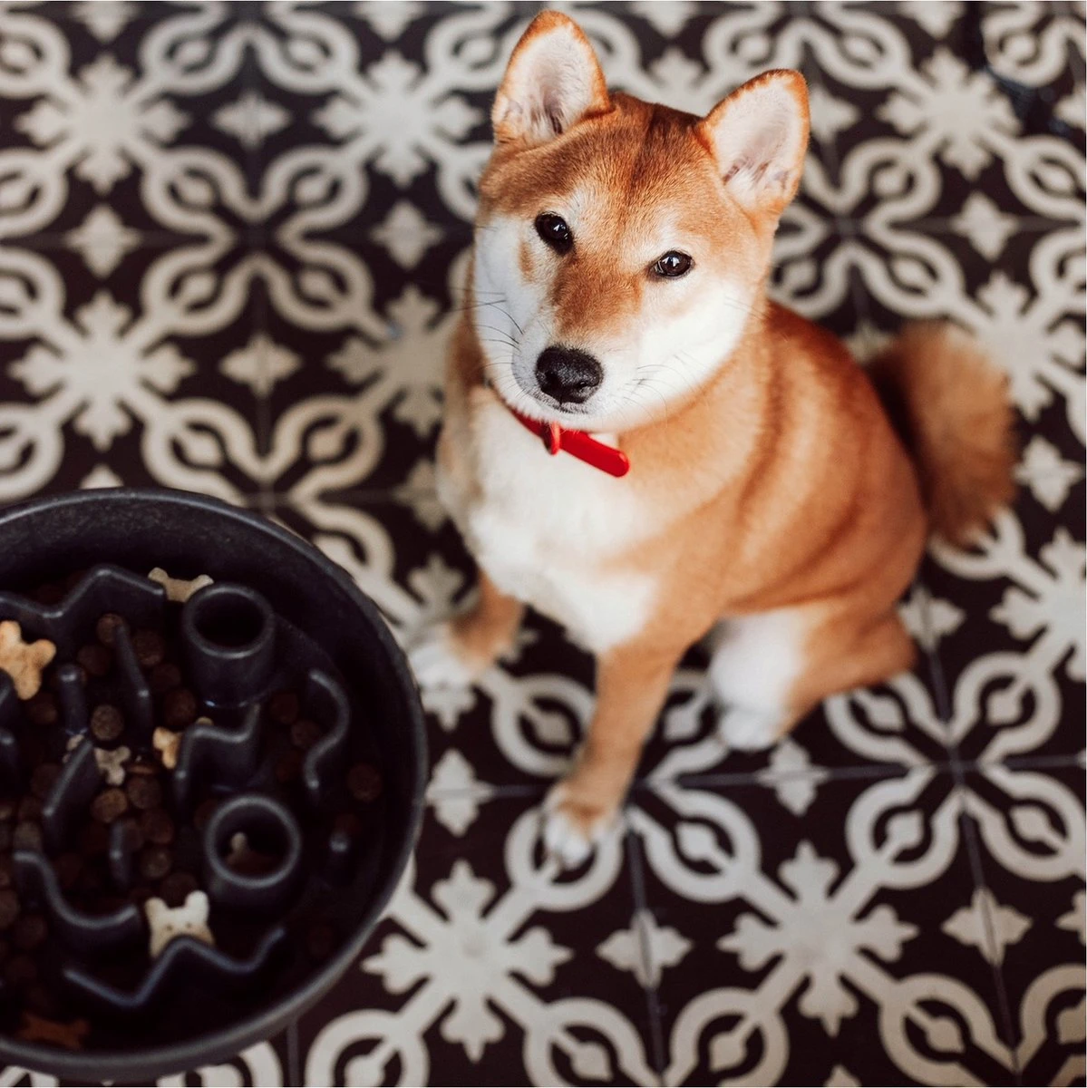 District 70 BAMBOO Slowfeeder - Stijlvolle Anti-schrok Voerbak Voor Honden - Kleur: Donkergrijs, Maat: Large Ø28 Cm (2500 ML) - Image 13