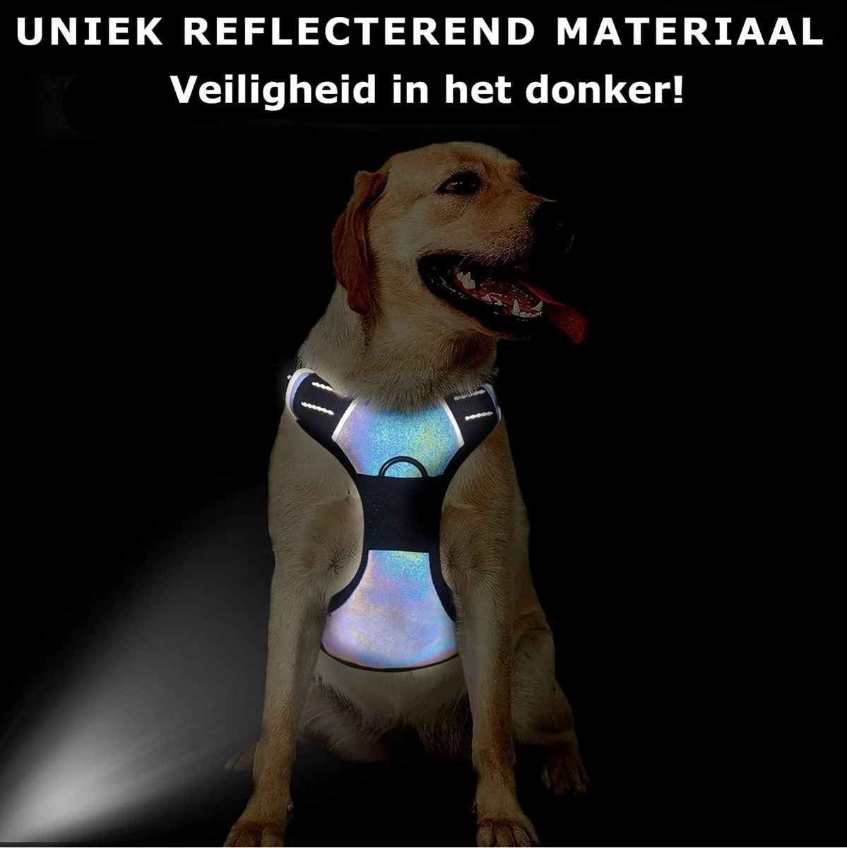 Mister Mill Hondentuigje 2x Klikgesp Maat XL Grijs - Anti-Trek Tuig Hondenharnas - Y Tuig Hond Reflecterend - Image 7