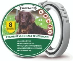 Honden Vlooienband - Tekenband - Incl. Vlooienkam Hond