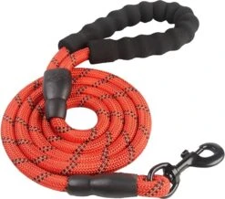 Comfortabele Hondenriem Met Gevoerd Handvat – Stevige Nylon Hondenlijn – Riem Voor Honden