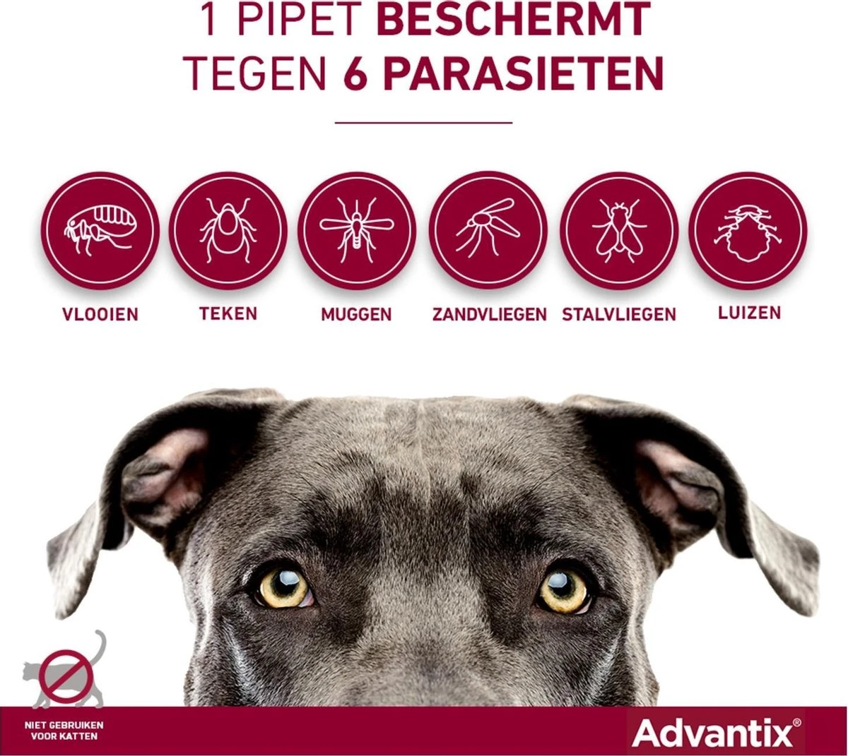 Bayer Advantix Vlooien & Teken Pipetten - Hond 25 Tot 40 Kg - 6 Stuks - Image 20