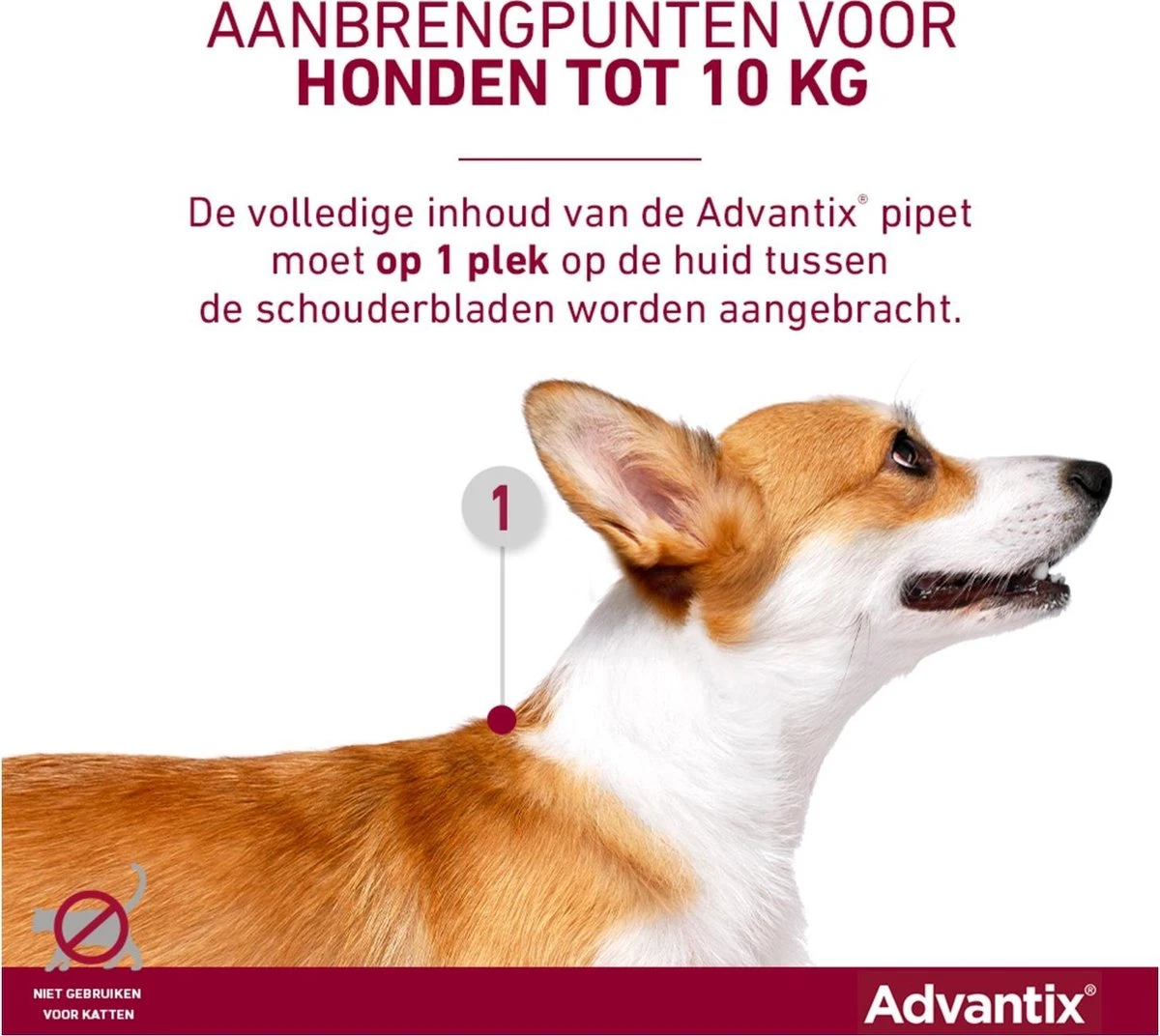 Bayer Advantix Vlooien & Teken Pipetten - Hond 25 Tot 40 Kg - 6 Stuks - Image 11