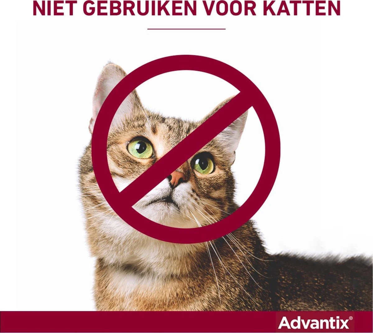 Bayer Advantix Vlooien & Teken Pipetten - Hond 25 Tot 40 Kg - 6 Stuks - Image 16