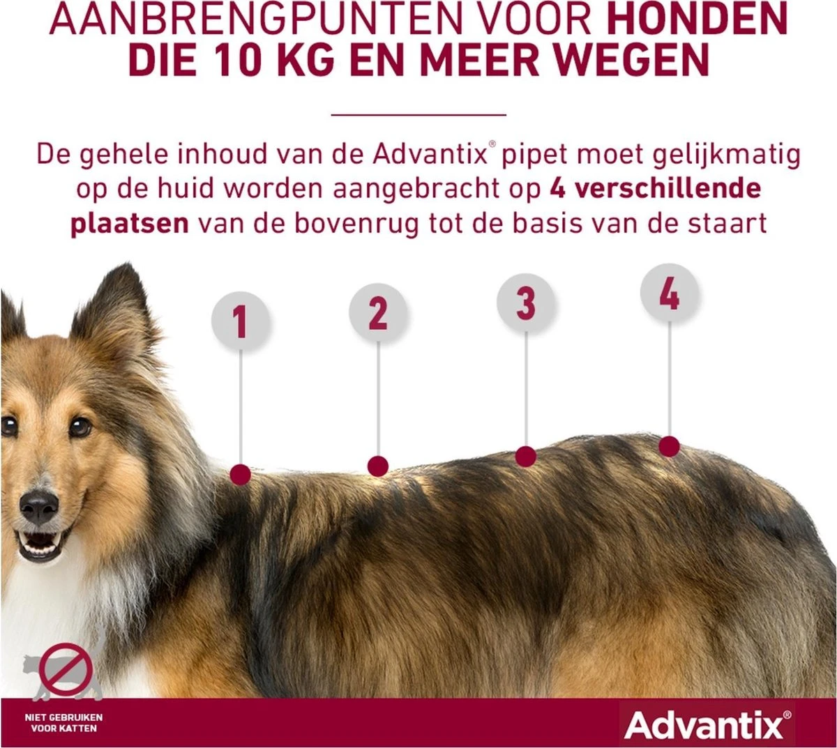 Bayer Advantix Vlooien & Teken Pipetten - Hond 25 Tot 40 Kg - 6 Stuks - Image 14