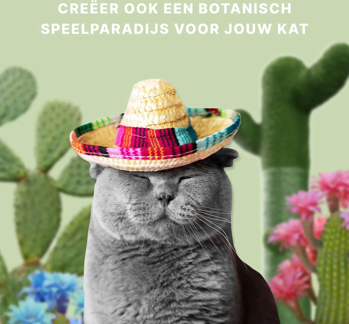 Krabpaal Voor Katten - Cactus - Met Kattenspeeltje - H 65 Cm - Image 6