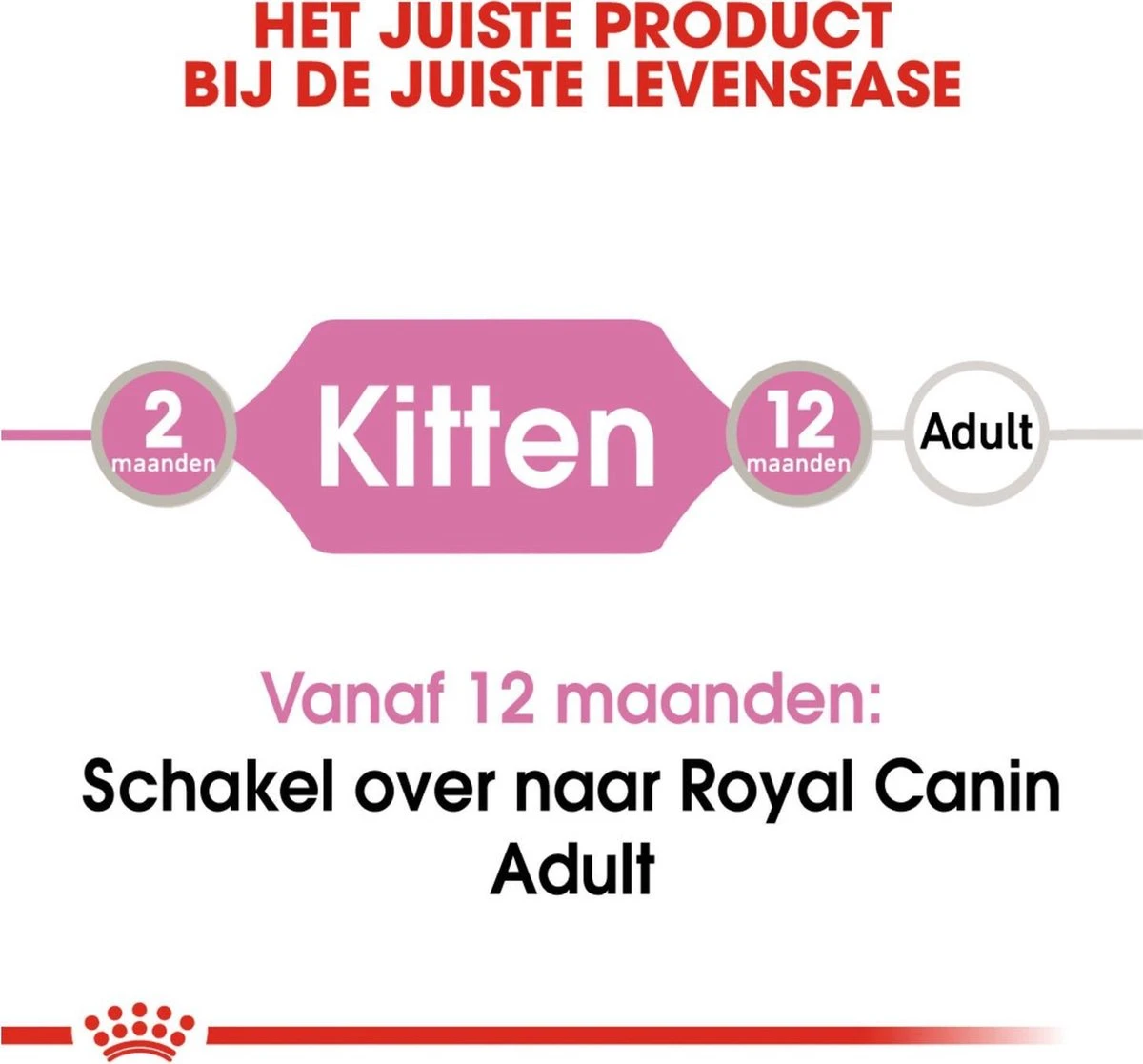 Royal Canin Kitten In Jelly - Kattenvoer - 1020 G - Image 12