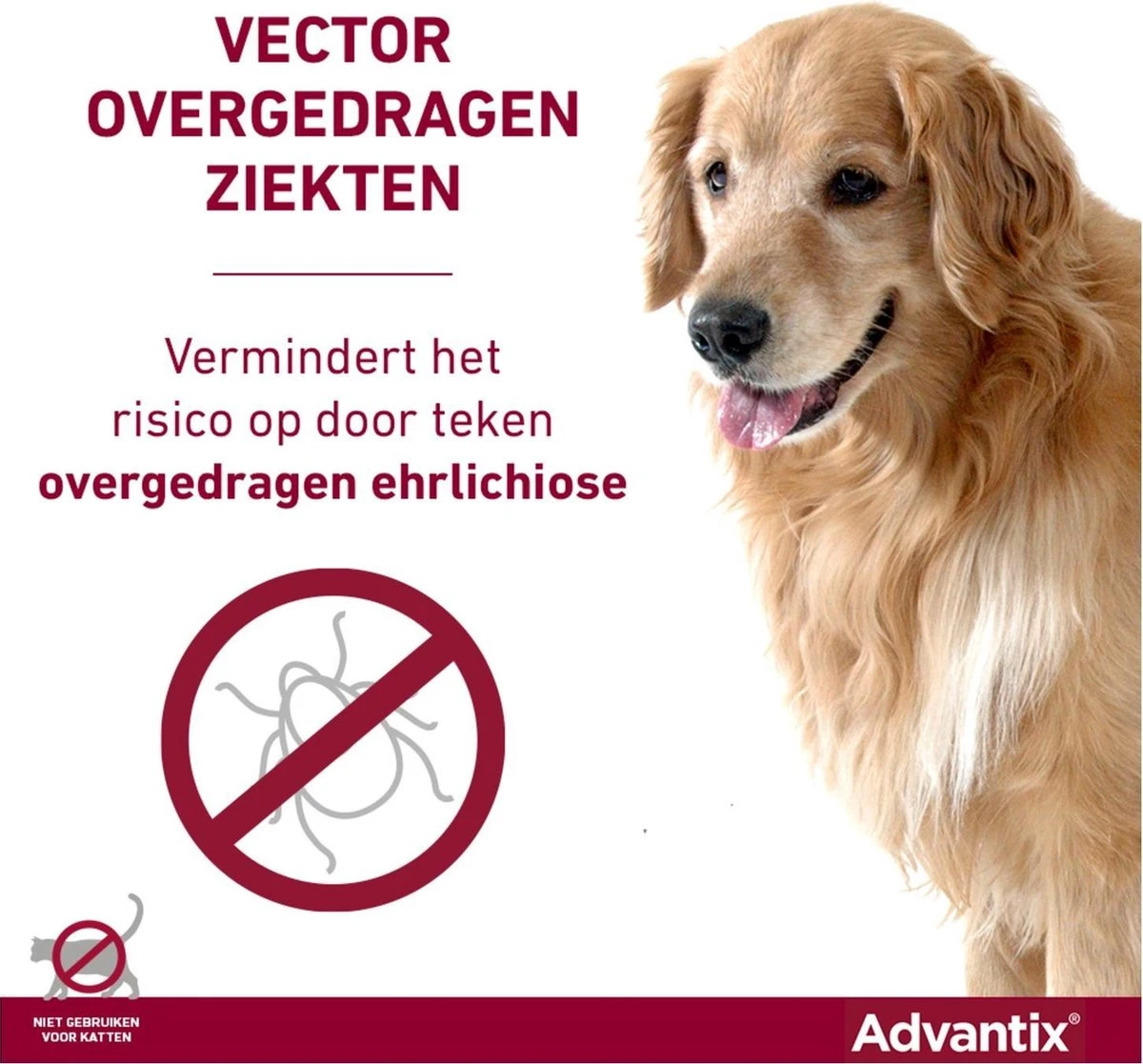 Bayer Advantix Vlooien & Teken Pipetten - Hond 25 Tot 40 Kg - 6 Stuks - Image 19