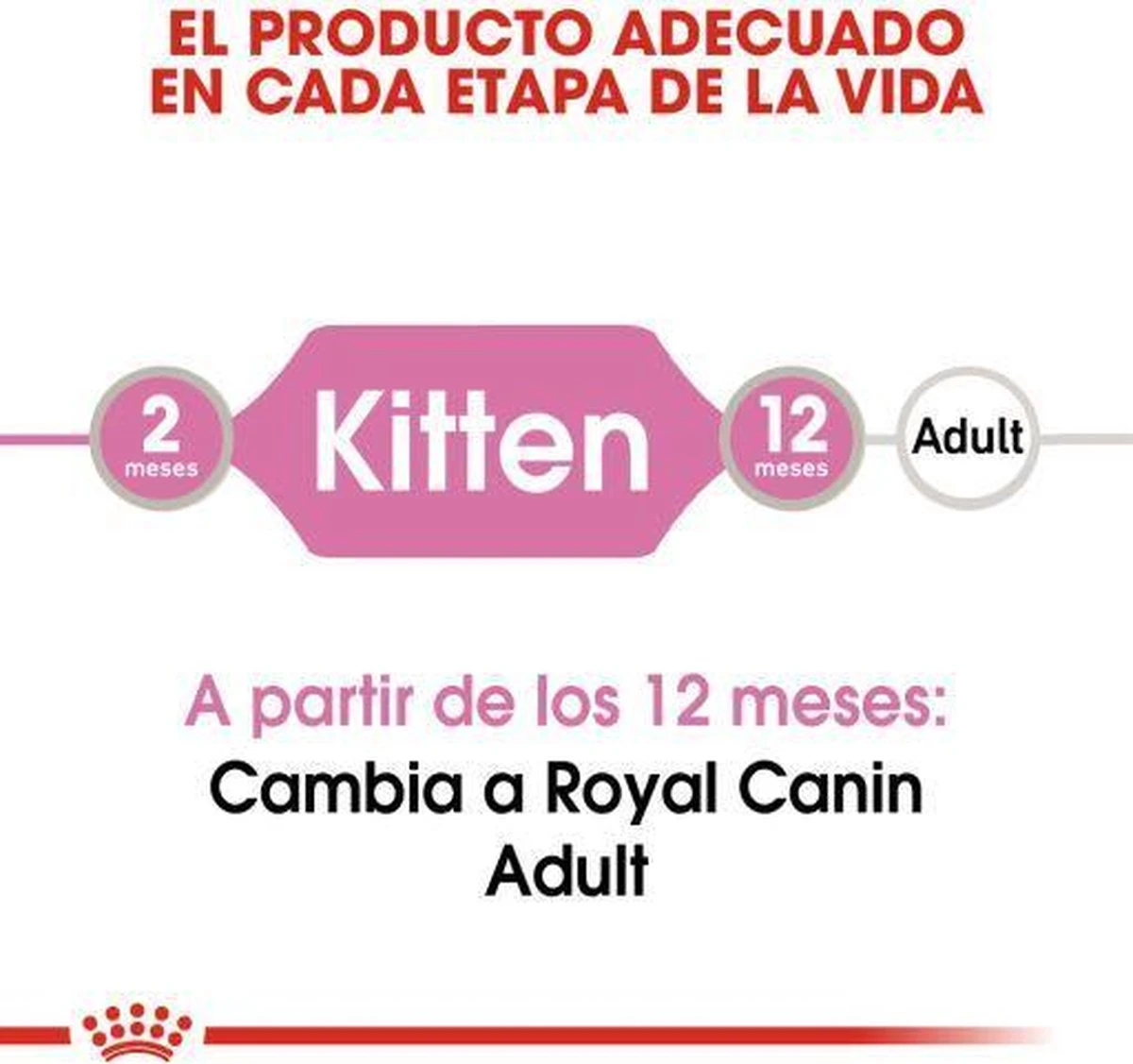 Royal Canin Kitten In Jelly - Kattenvoer - 1020 G - Image 6
