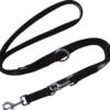 DDOXX Hondenriem Air Mesh, 3-voudig Verstelbaar, 2m | Voor Kleine & Grote Honden | Dubbele Riem Twee Honden Kat Puppy | Tug Leash Large | Lead Leash Small | Walking Leash Puppy Leash | Zwart, XS