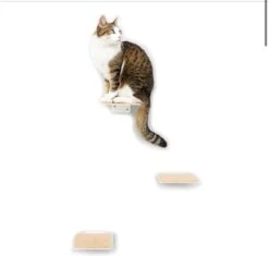 Katten Klimmuur Panelen Luxe Katten Klimwand Kat