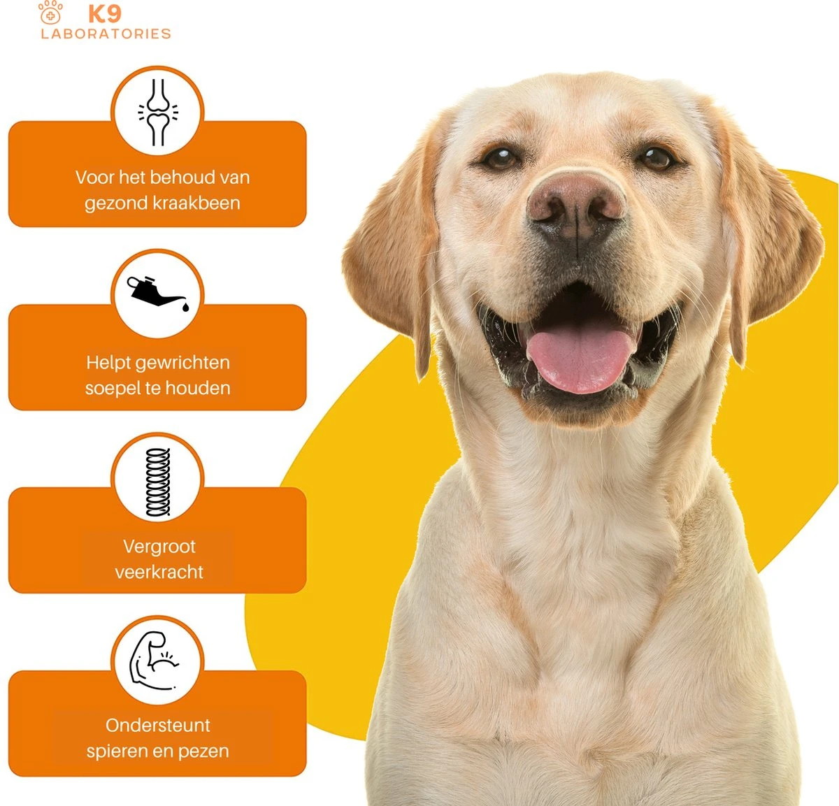 K9 Laboratories - Voordeel Pak - 120 Stuks - Voor Honden - Met Gewrichtsklachten - Artrose - Stijve Gewrichten - Ouderdom - HD - ED - Bevat Glucosamine - MSM - Chondorïtine - Voor Behoud Van Kraakbeen - Image 5