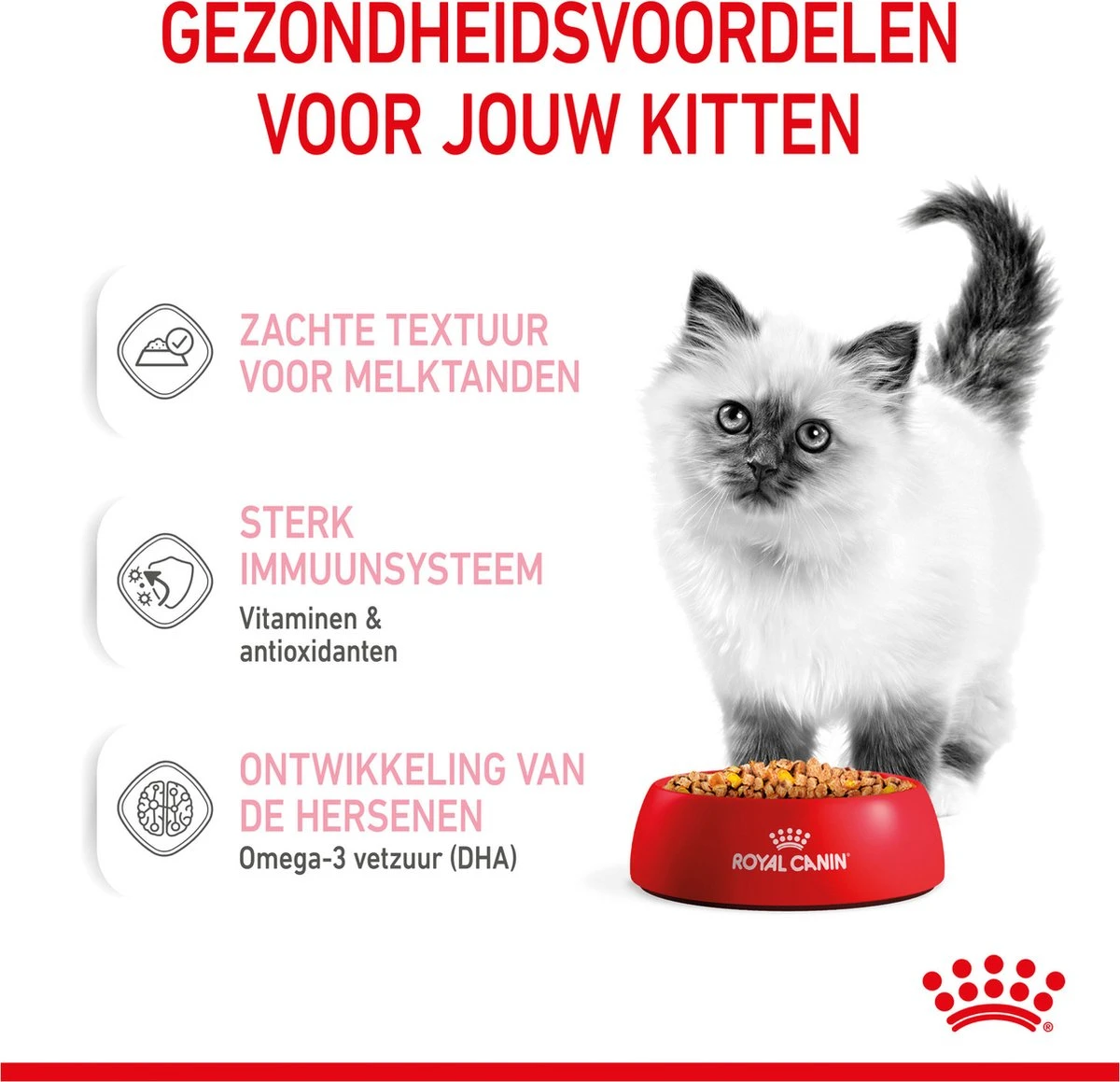 Royal Canin Kitten In Jelly - Kattenvoer - 1020 G - Image 5