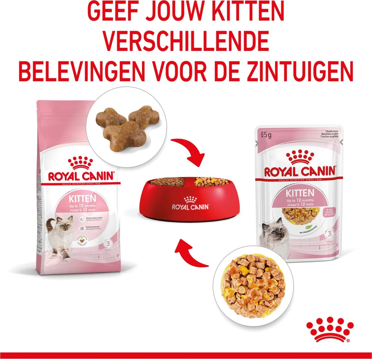 Royal Canin Kitten In Jelly - Kattenvoer - 1020 G - Image 8
