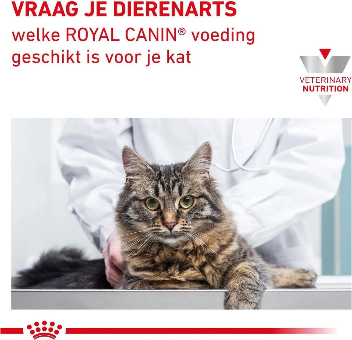 Royal Canin Gastro Intestinal Moderate Calorie - Kattenvoer - 4 Kg - Image 9