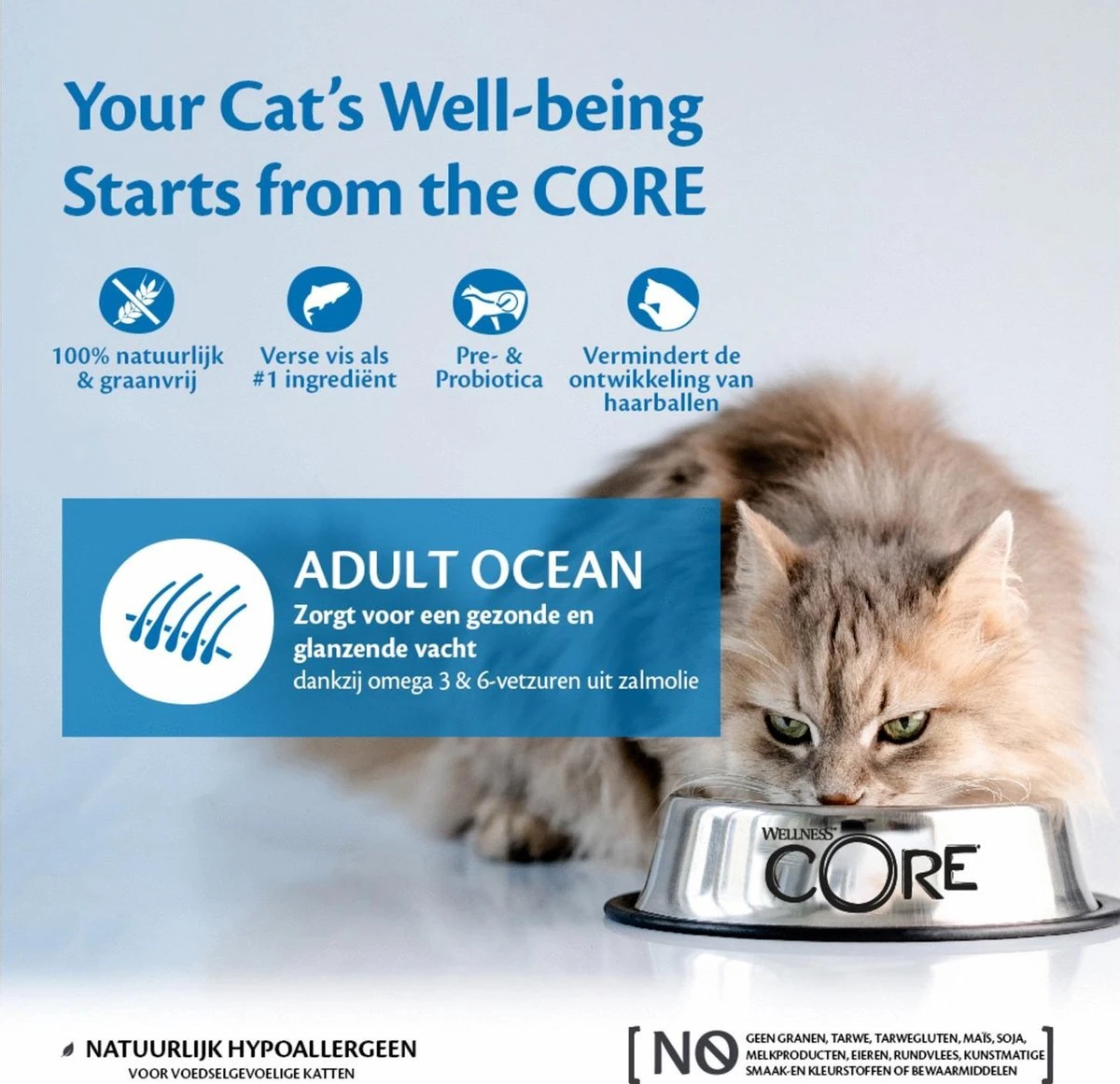 Wellness Core Grain Free Cat Ocean Zalm & Tonijn - Kattenvoer - 1.75 Kg - Image 6