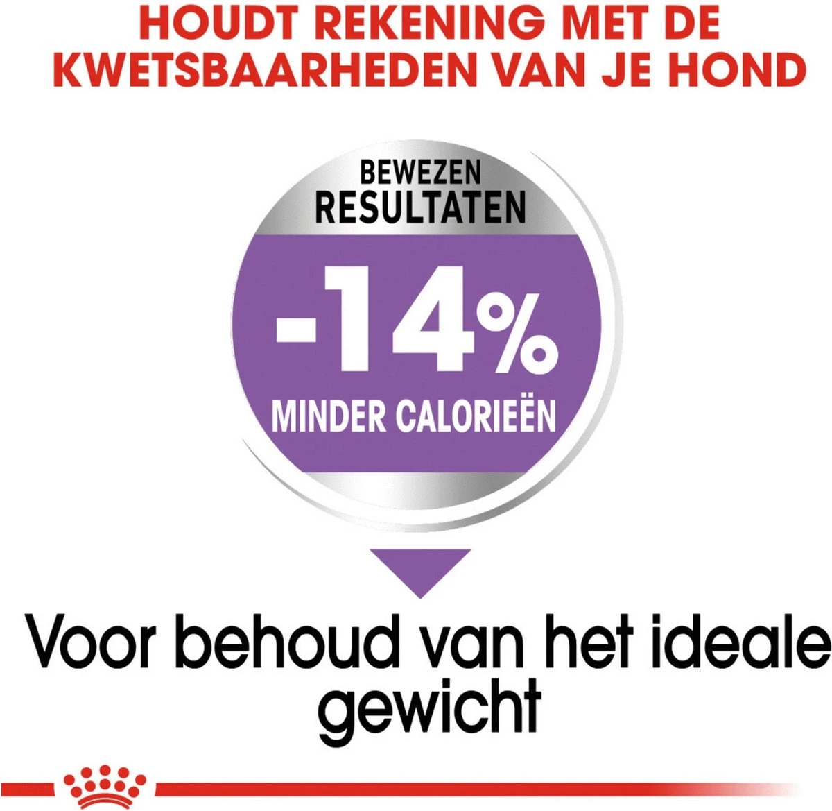 Royal Canin Sterilised Maxi - Hondenvoer - 12 Kg - Image 5