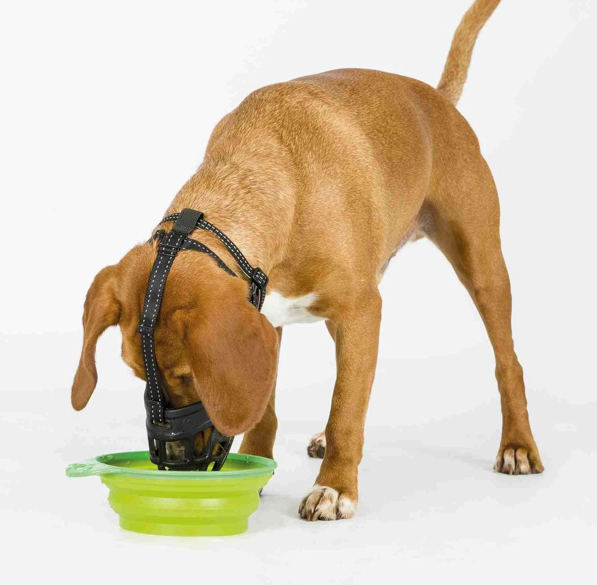 TRIXIE Honden Muilkorf Flex Maat L 17614 - Image 2