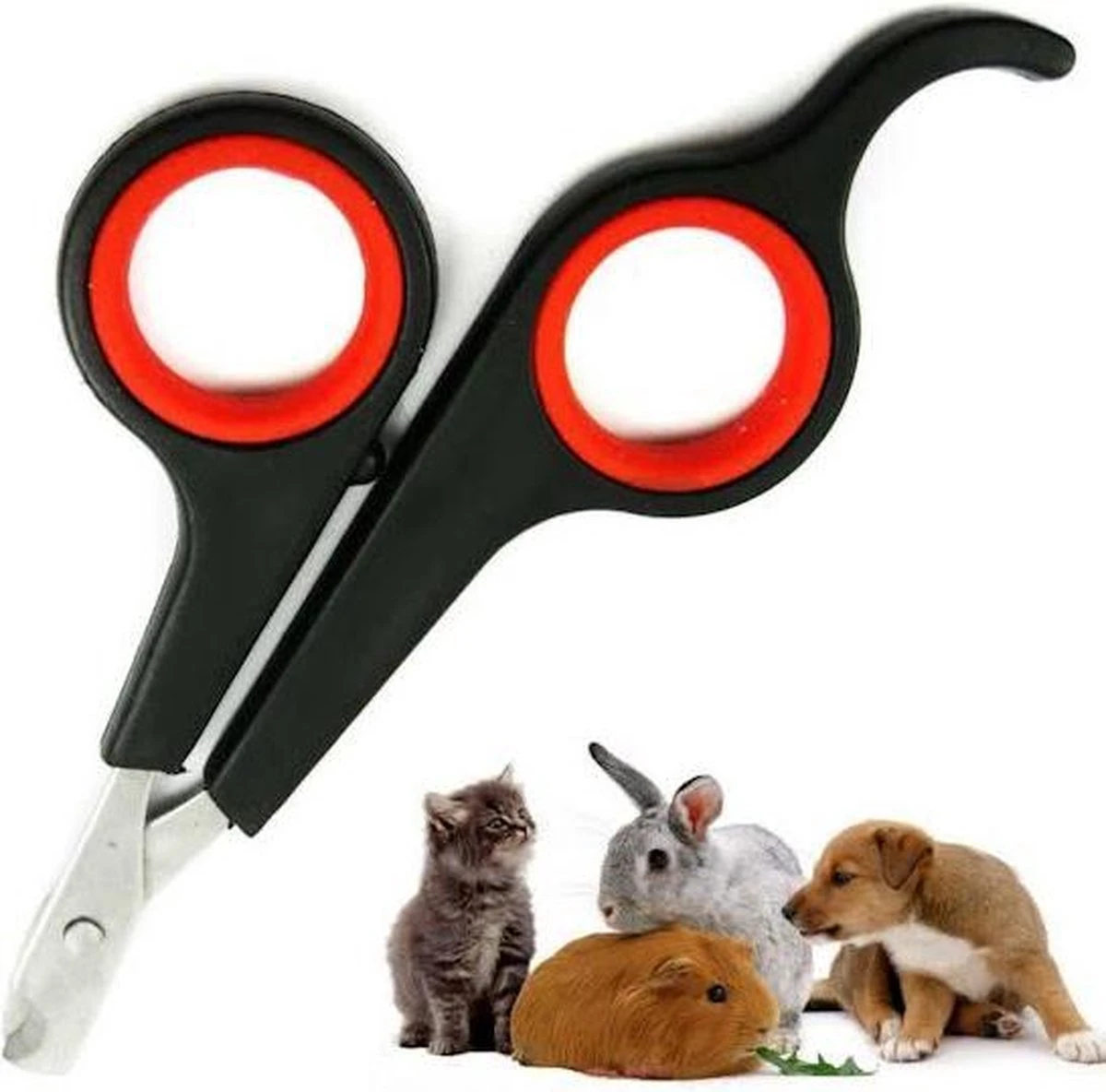 Noix Katten Nagelknipper - Nagelschaar - Dieren Nagelschaartje - Geschikt Voor De Kat - Image 4
