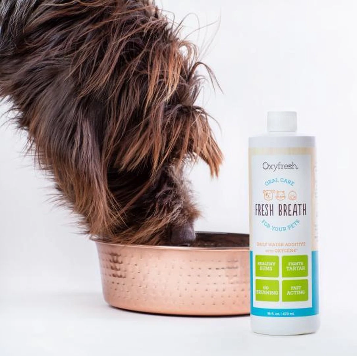 OxyFresh Pet Mondwater Hond En Kat. Helpt Tegen Tandsteen, Plak En Vieze Ademgeurtjes - Image 2