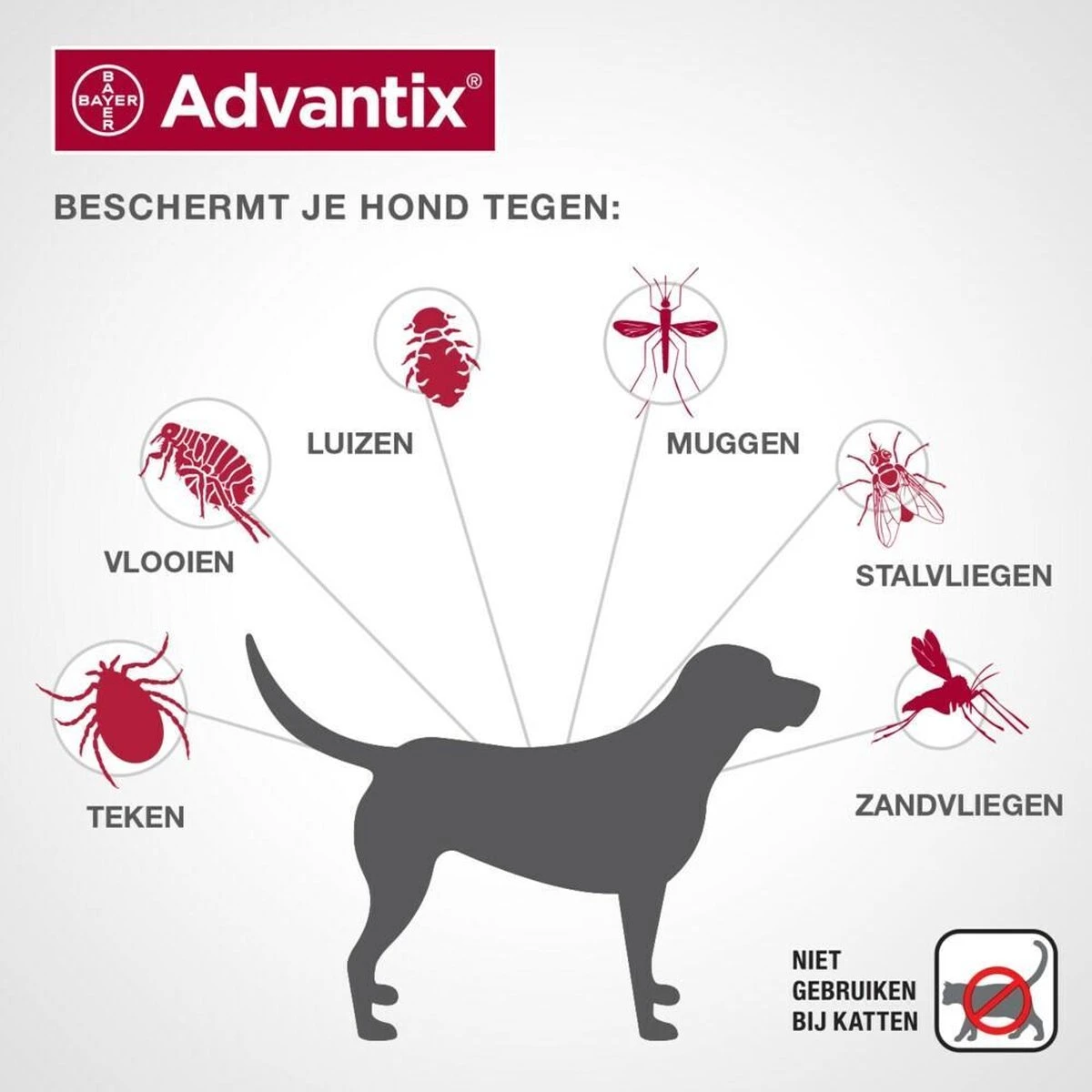 Bayer Advantix Vlooien & Teken Pipetten - Hond 25 Tot 40 Kg - 6 Stuks - Image 8