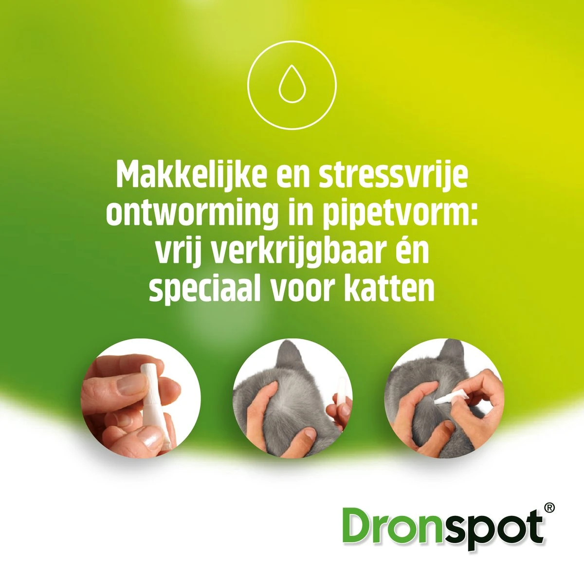 Dronspot Spot On Ontwormingsmiddel Voor Middelgrote Katten (2,5 Kg - 5 Kg) 2 Pipetten - Image 6