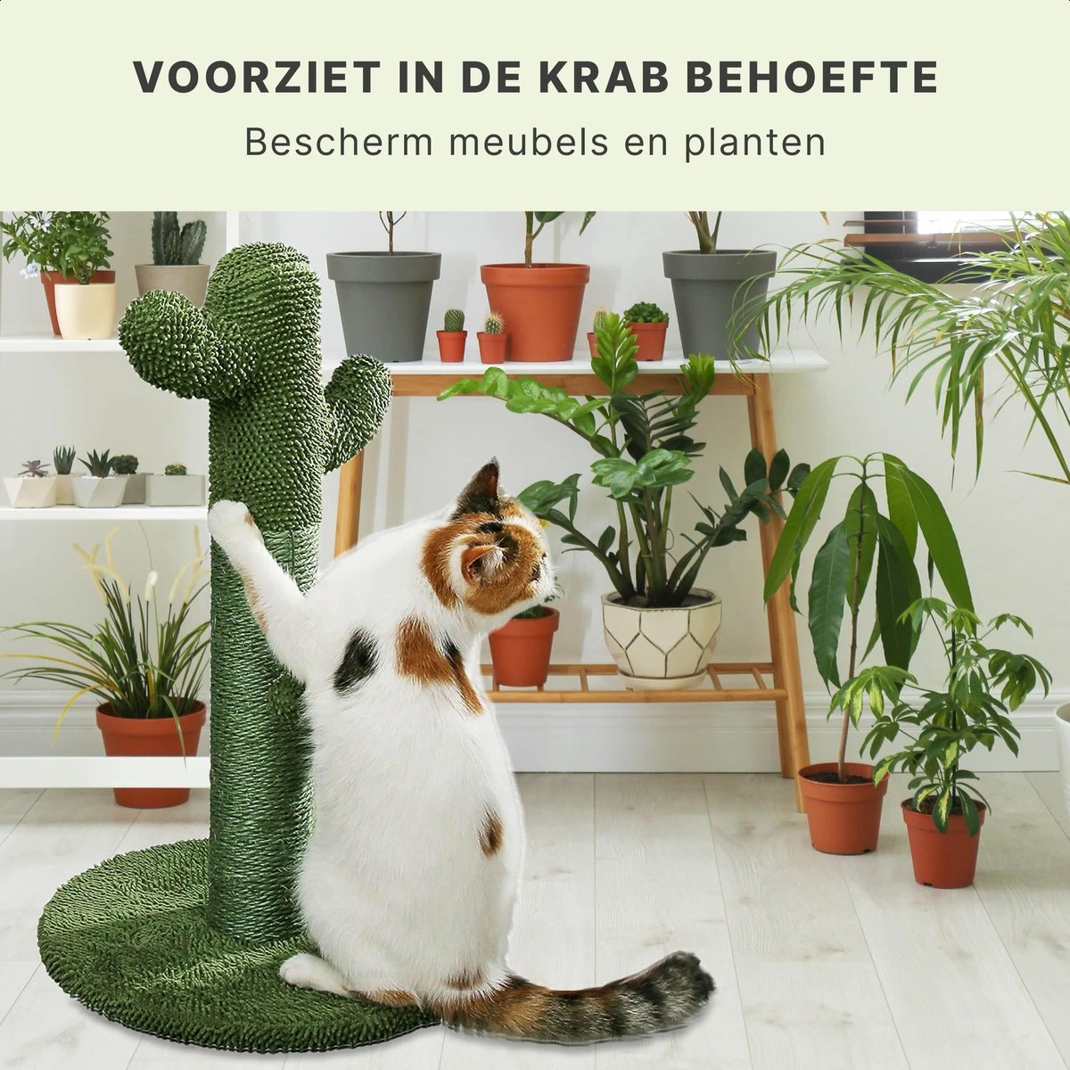 Krabpaal Voor Katten - Cactus - Met Kattenspeeltje - H 65 Cm - Image 4