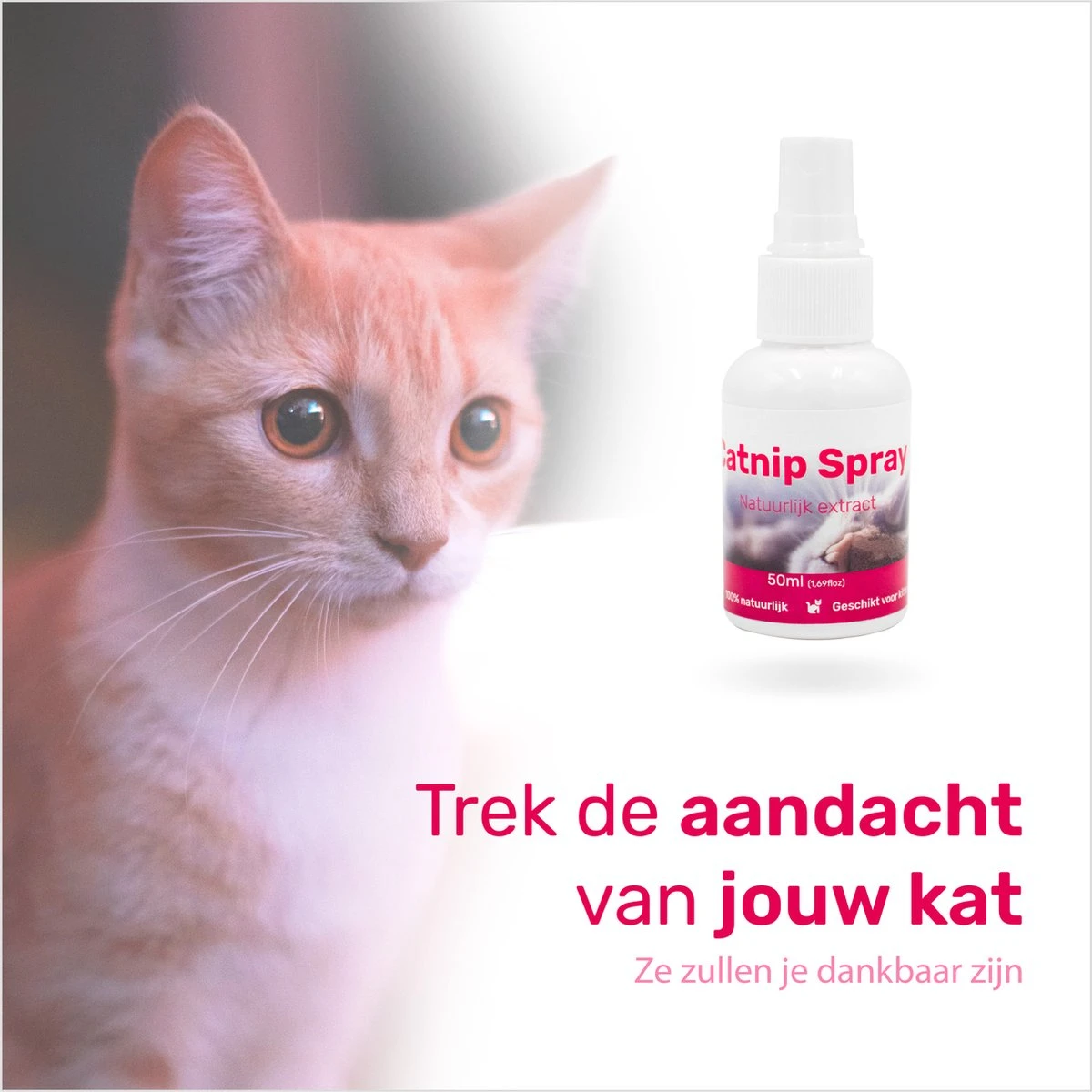 LBB - Catnip Spray 50ML - 100% Natuurlijk - CE Gekeurd - Kattenkruid Spray - Catnip Speelgoed - Valeriaan - Kat - Katten - Image 3
