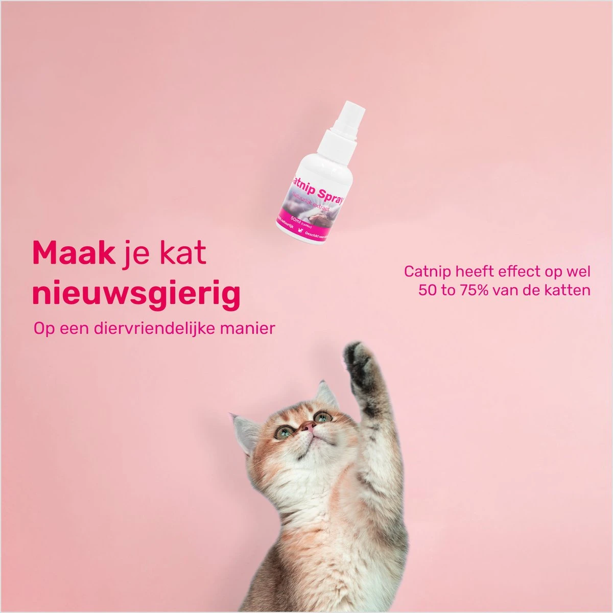 LBB - Catnip Spray 50ML - 100% Natuurlijk - CE Gekeurd - Kattenkruid Spray - Catnip Speelgoed - Valeriaan - Kat - Katten - Image 5