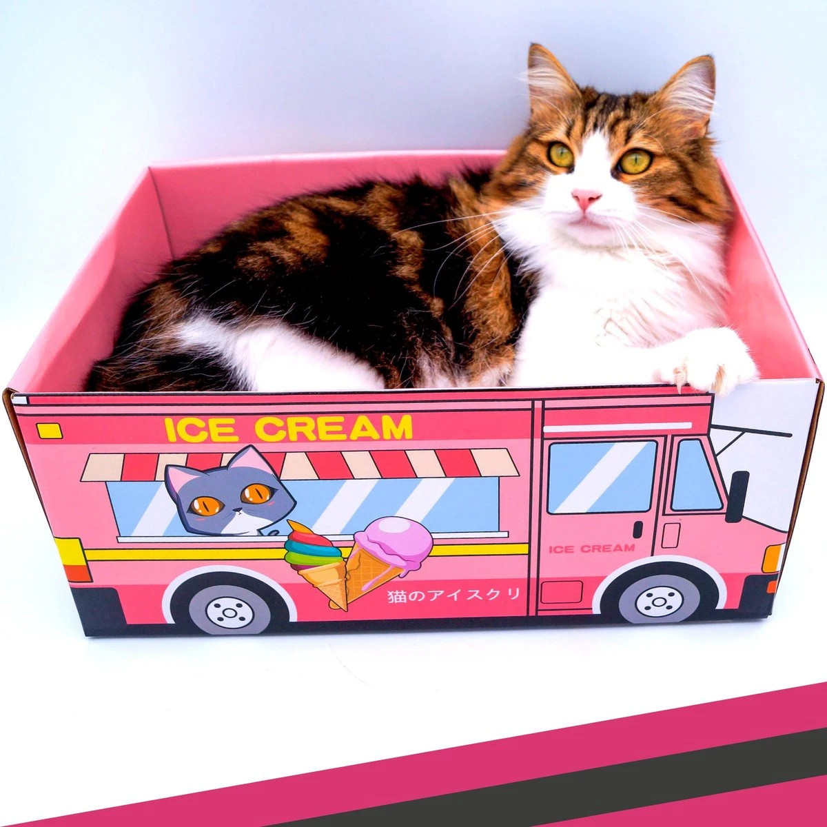 Make Me Purr Kattendoos Van Karton (Ice Cream) - Inclusief Kartonnen Krabmat - Speelgoed Doos Voor Katten Met Krab Mat - Kat Krabpaal Speeltje - Kattenbed Kattenmand Kattenhuis Kattentunnel - Kattenspeelgoed - Kattenspeeltjes - Kitten Speeltjes - Image 5