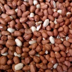 Merkloos Pinda's - Gepelde Pinda's - Hoge Kwaliteit - Olierijk - 20kg (2x10kg)