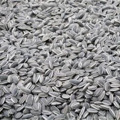 Merkloos Zonnebloempitten Zwart - Ongepeld 15 Kg