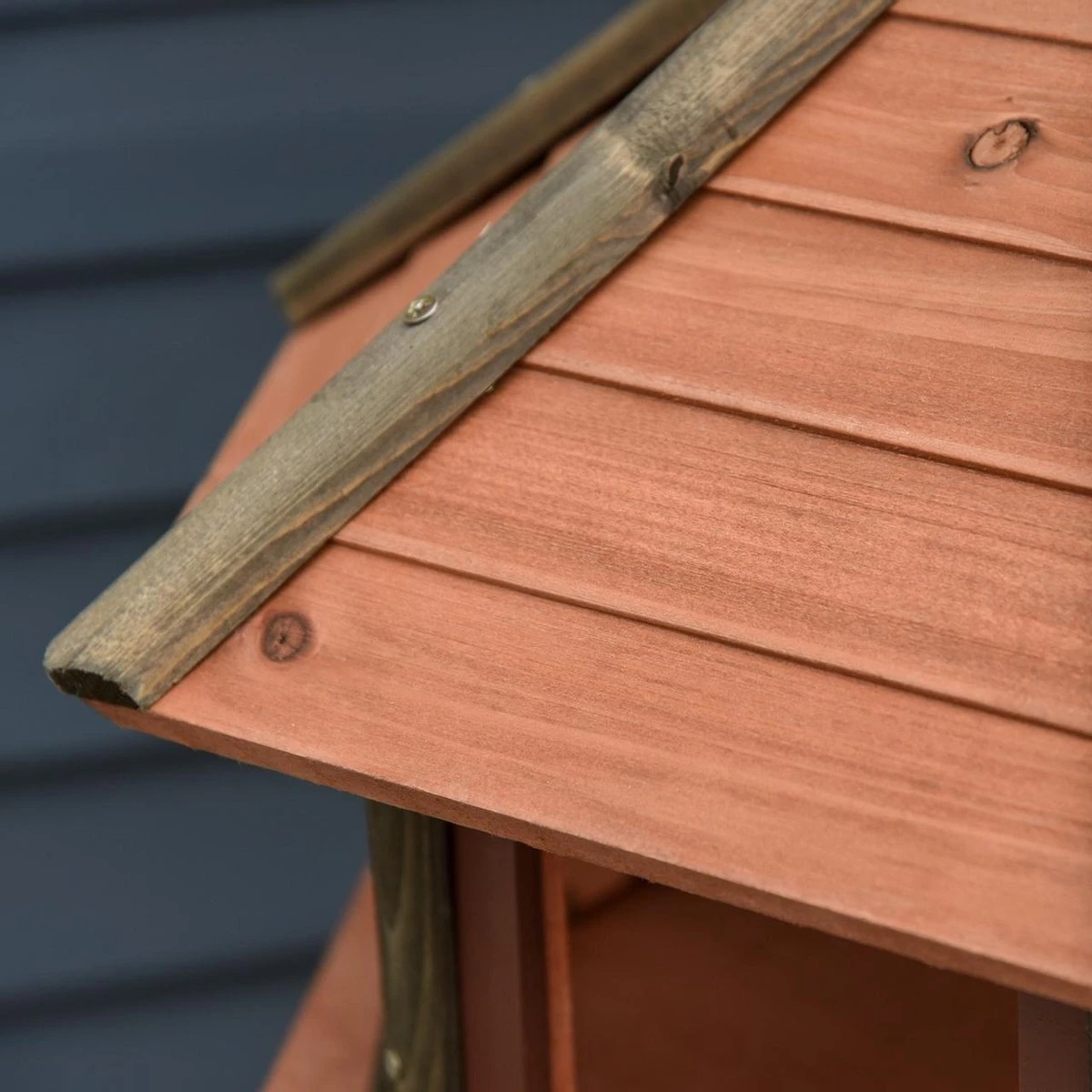 Voederhuisje Voor Vogels Staand - Voederhuis Voor Vogels - Vogelhuis - Vogelvoederhuisje - XL - 52 X 52 X 130 Cm - Image 4