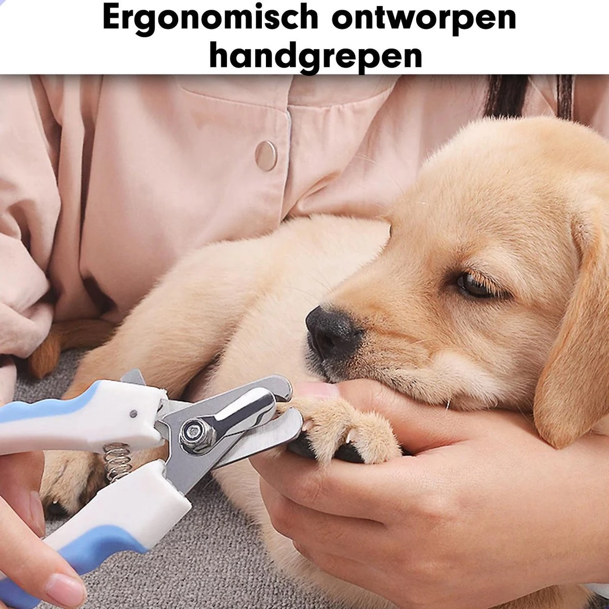 Professionele Nagelschaar|Nagelschaar Hond | Nagelschaar Kat| Nagelknipper Hond En Kat| Nagelknipper Kat| Nagelknipper Hond|NagelTang Dieren|Poot Verzorging - Image 3