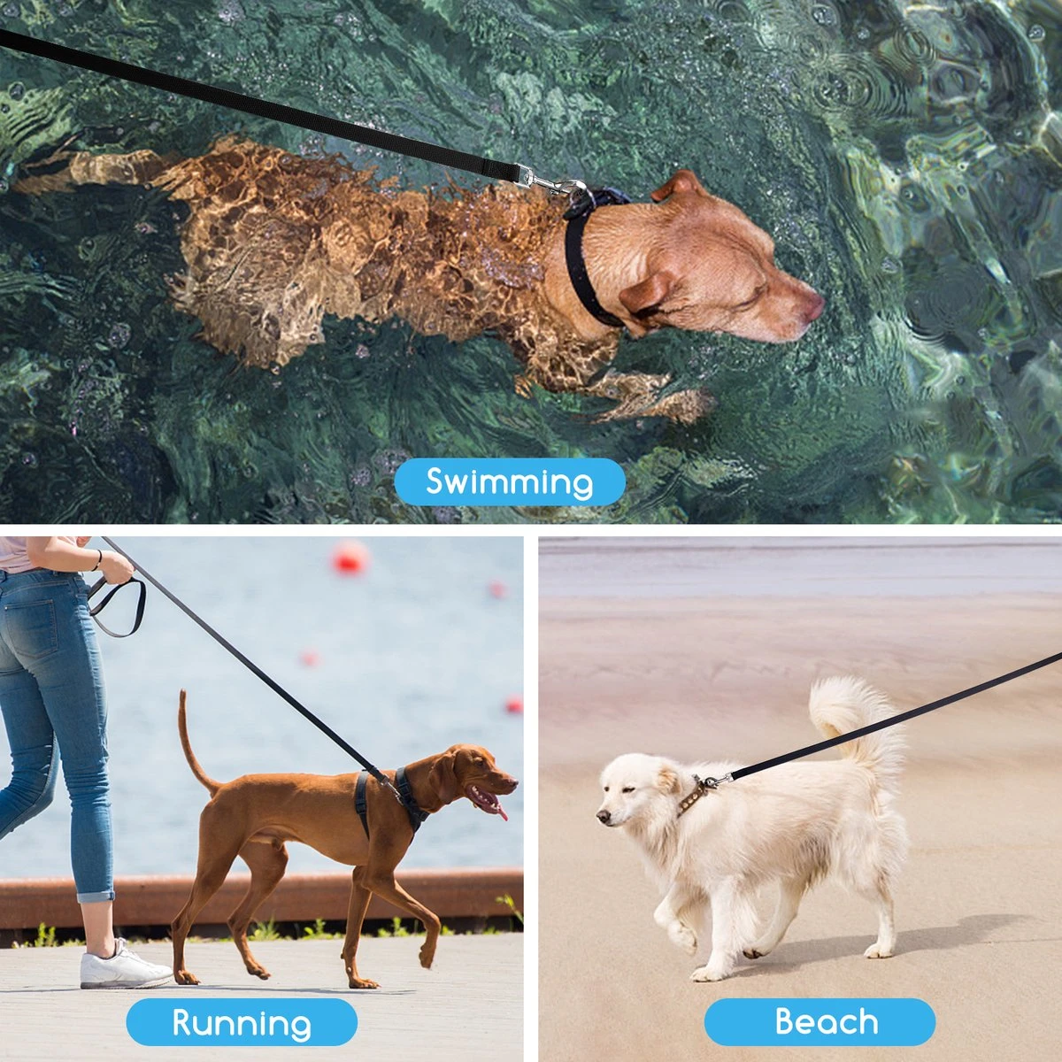 Nobleza Trainingslijn - Longeerlijn - Sleeplijn - Hondenlijn - Trainingslijn Hond - Speurlijn - 10 Meter - Zwart - Image 5