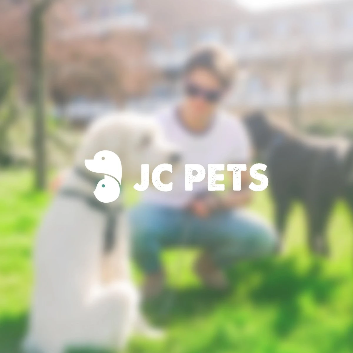 Anti Blafband - Blafband Voor Honden - Anti Blaf Apparaat - Blafband - Diervriendelijk & Zonder Schok - Image 5