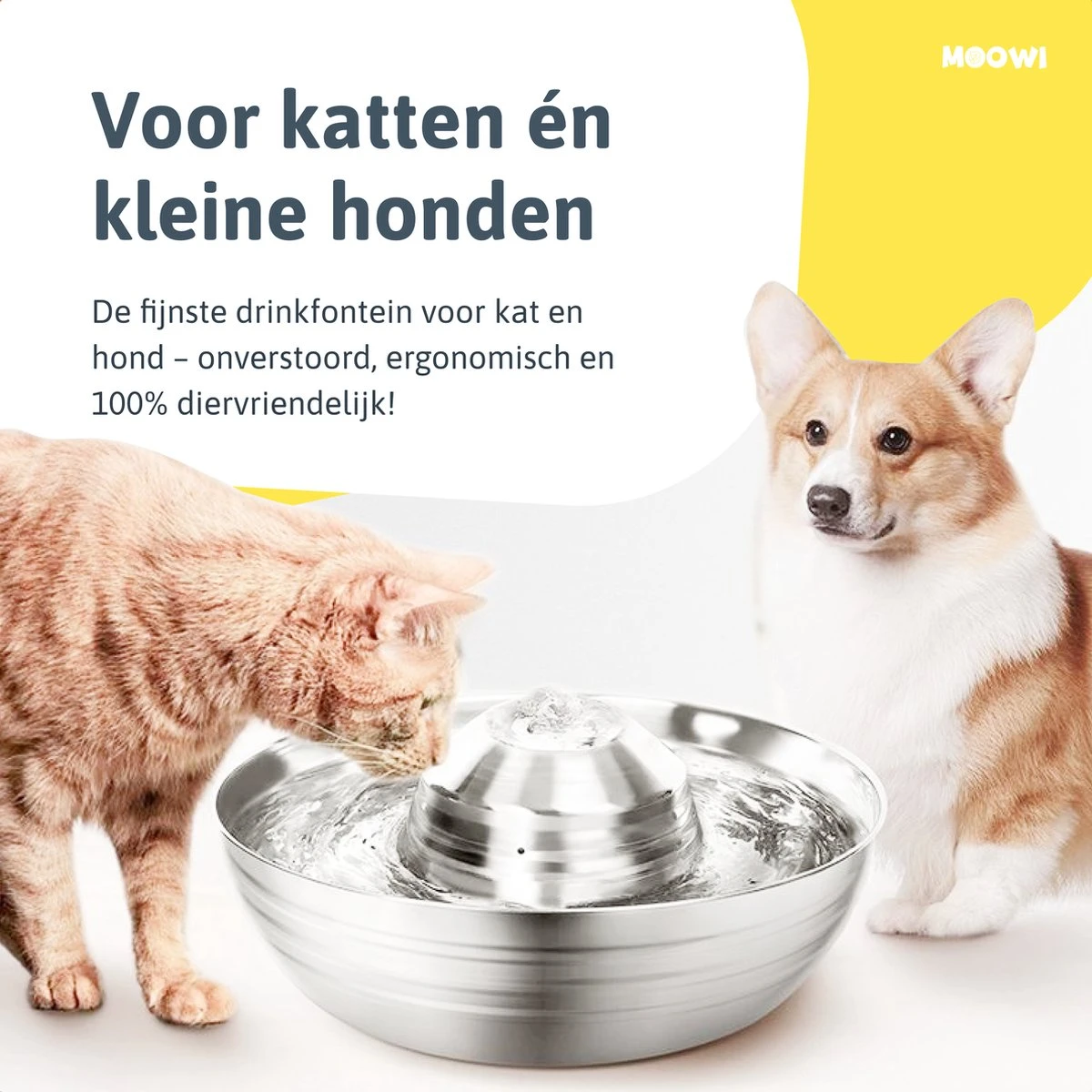 Moowi – RVS Drinkfontein Voor Kat En Hond - Fluisterstil - Incl. 3 Filters - Vaatwasserbestendig - Drinkbak Hond - USB Stekker - Image 8