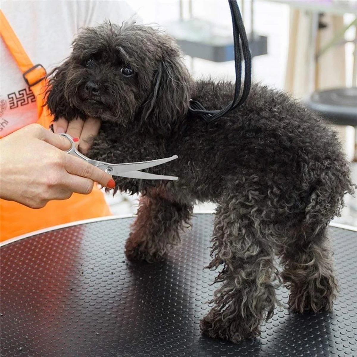 Merkloos Premium Gebogen Trimschaar Honden - Huisdier Trimmen - Hoofd, Poten Ogen & Oren - Kat & Hond Knippen - Veilige Schaar - Image 3