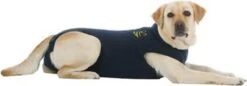 Medical Pet Shirt Hond - Blauw M Plus