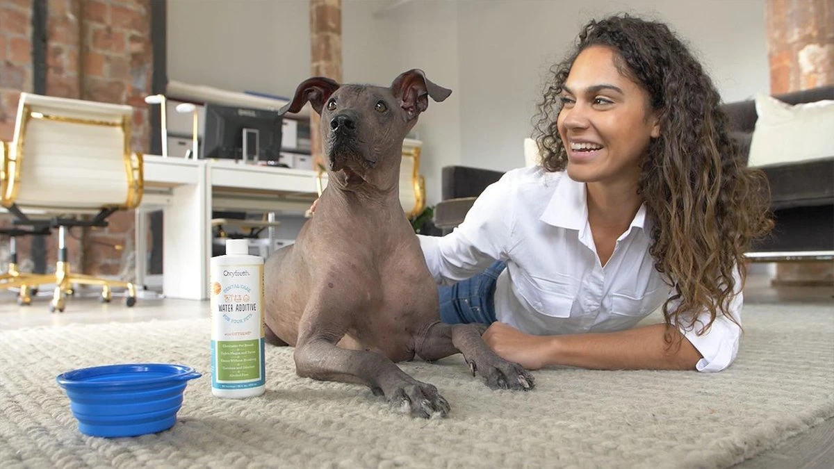 OxyFresh Pet Mondwater Hond En Kat. Helpt Tegen Tandsteen, Plak En Vieze Ademgeurtjes - Image 4