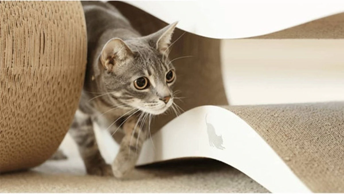 MyKotty LUI - Krabpaal - Wit - 75 X 25 Cm - Image 2