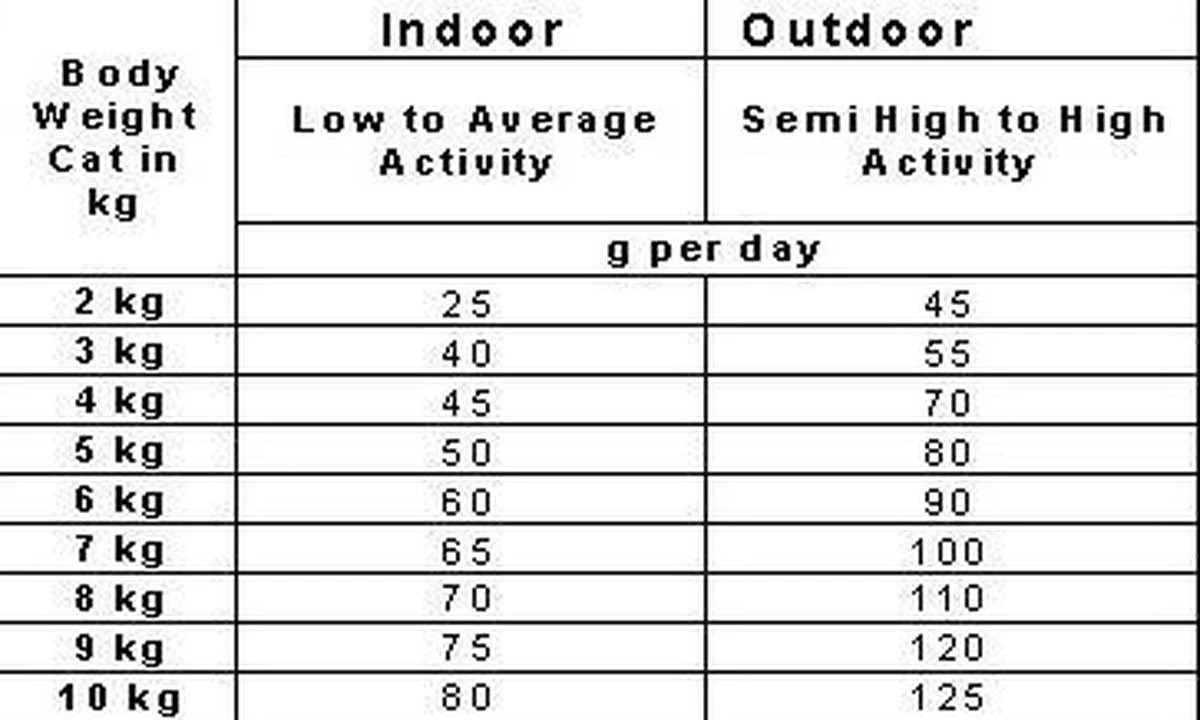 Smolke Adult Chicken & Rice 10 Kg - Kat - Image 6