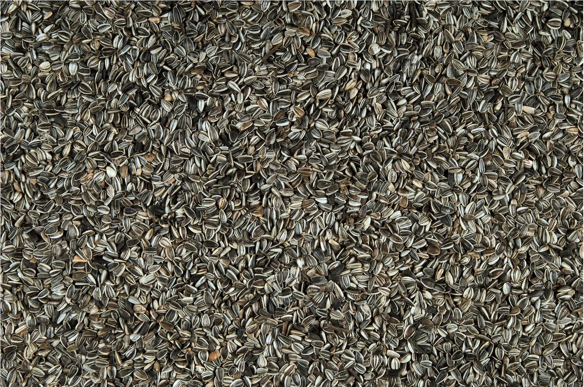 Versele-Laga Menu Nature Sunflower Seeds - 7.5 Kg
