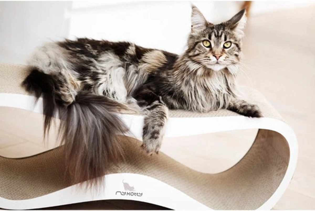 MyKotty LUI - Krabpaal - Wit - 75 X 25 Cm - Image 4